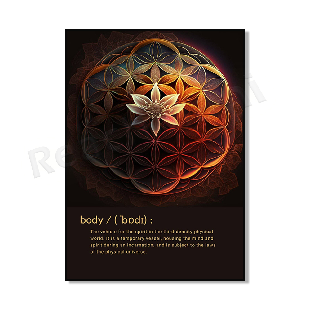 Mind Body Spirit - Colorful Mo - Home Gym Zen incelemesi ve fiyatı